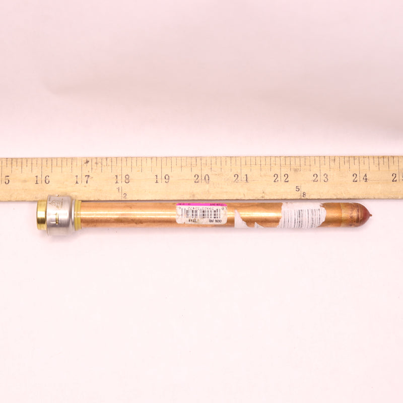 Nibco Straight Stub Out Copper 1/2" x 8" C620L