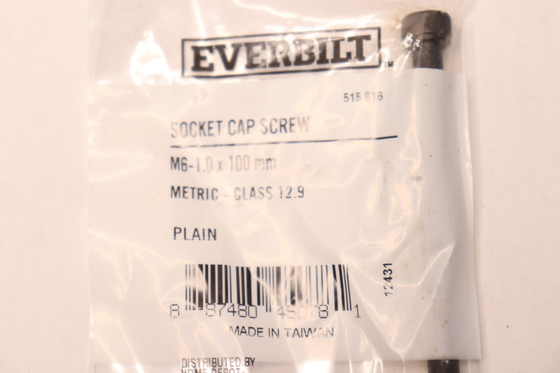 Everbilt Socket Cap Screw Class 12.9 M6-1.0 x 100mm 515 816