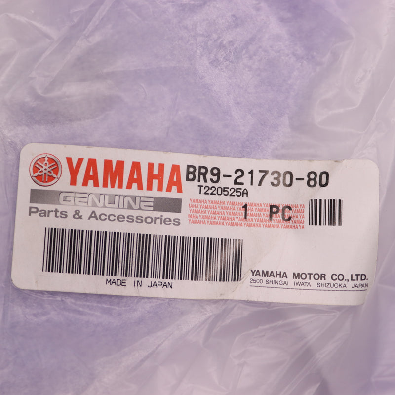 Yamaha Side Cover Assembly BR9-21730-80-00