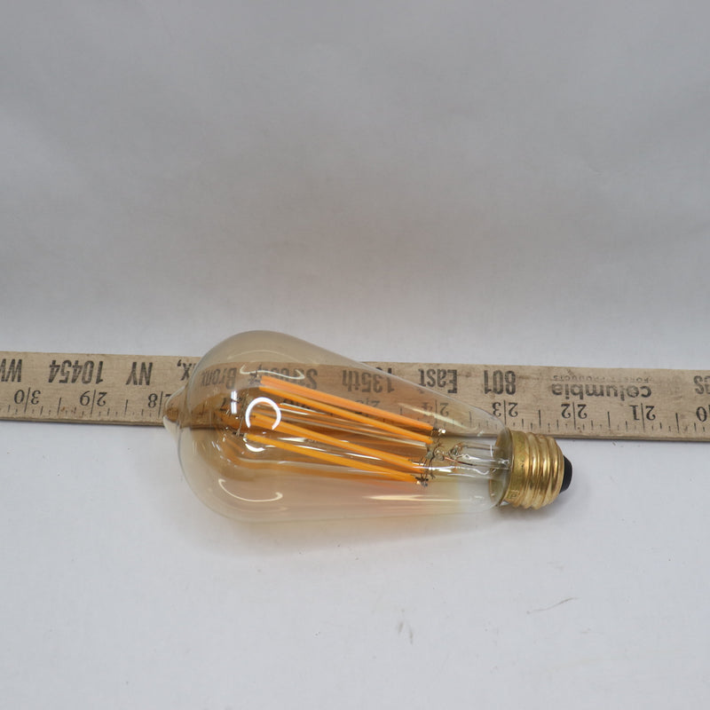 Feit Electric Straight Filament Amber Glass Edison LED Light Bulb ST19 100W Eqv