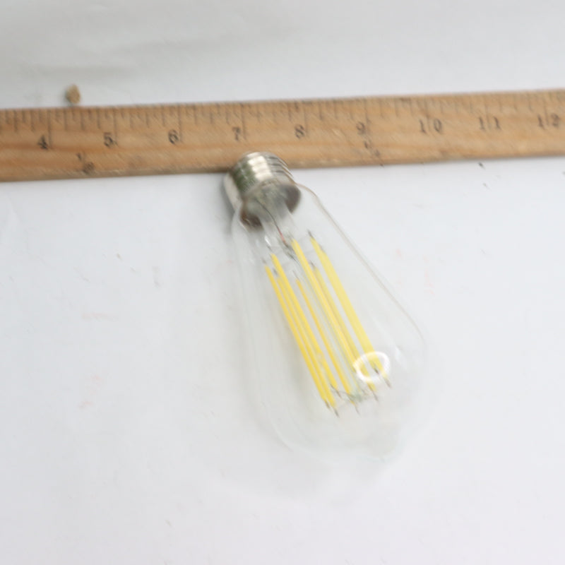 Feit Dimmable LED Light Bulb Filament Clear Daylight ST19 E26 5000K 100W 120V