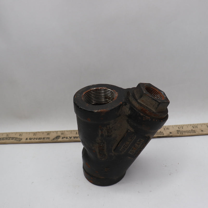 Mueller Wye Strainer with Blow-Off Outlet 250 WSP 1-1/4" - USED/RUSTED