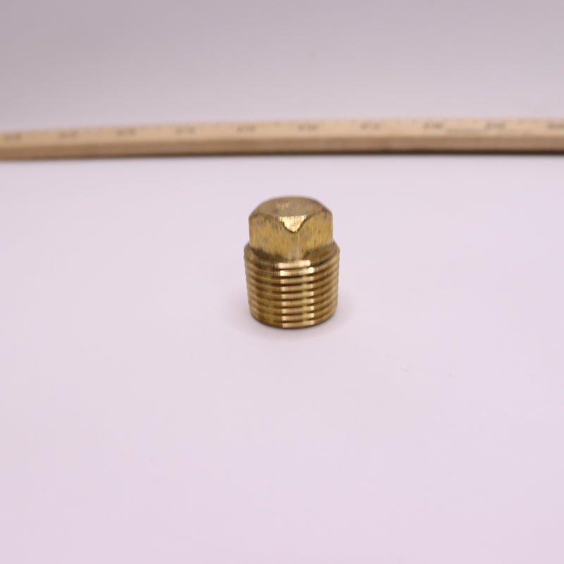 Everbilt Plug Fitting Brass 1/2" 758 863