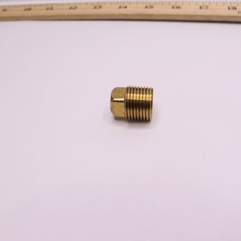 Everbilt Plug Fitting Brass 1/2" 758 863