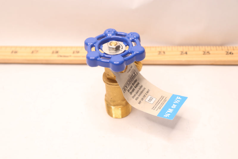 Everbilt Boiler Drain Valve Brass Blue MPT x MHT 3/4" 102-704EB