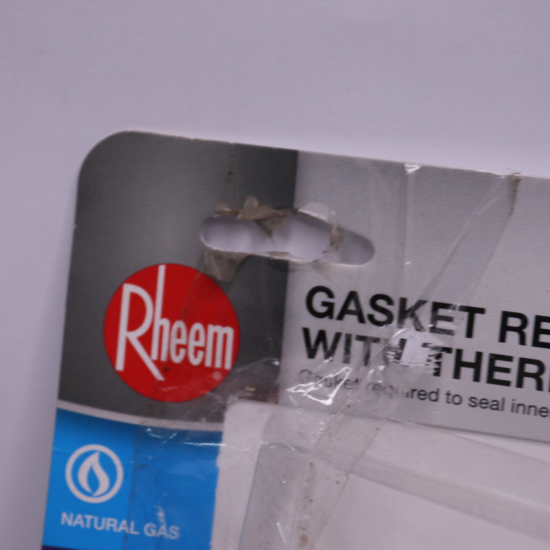 Rheem Gasket Replacement Kit with Thermocouple for FVIR Water Heater-Incomplete