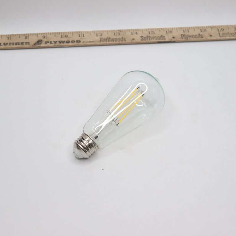 Feit Electric ST19 Dusk to Dawn Light Bulb 60W Clear Glass Daylight