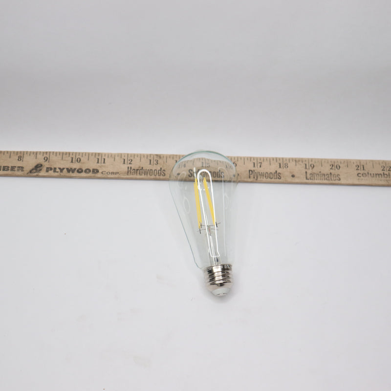 Feit Electric ST19 Dusk to Dawn Light Bulb 60W Clear Glass Daylight