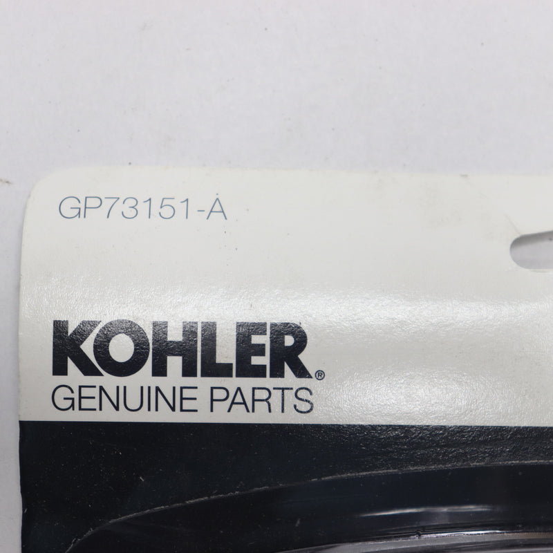 Kohler Hose Gray 16.5" Long GP73151-A