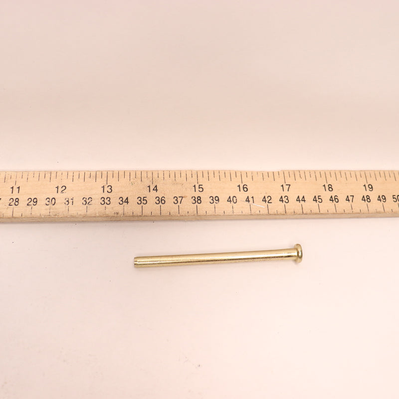 Everbilt Door Hinge Pin Satin Brass 3-1/2" 1005659291