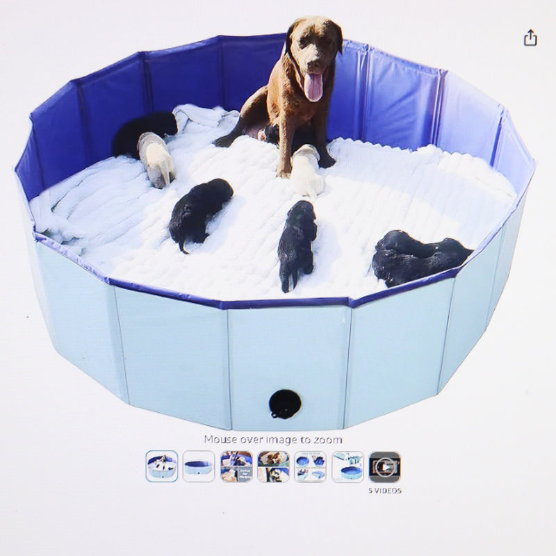 Artilife Whelping Pool for Dogs Blue 47" Dia. x 12"Height