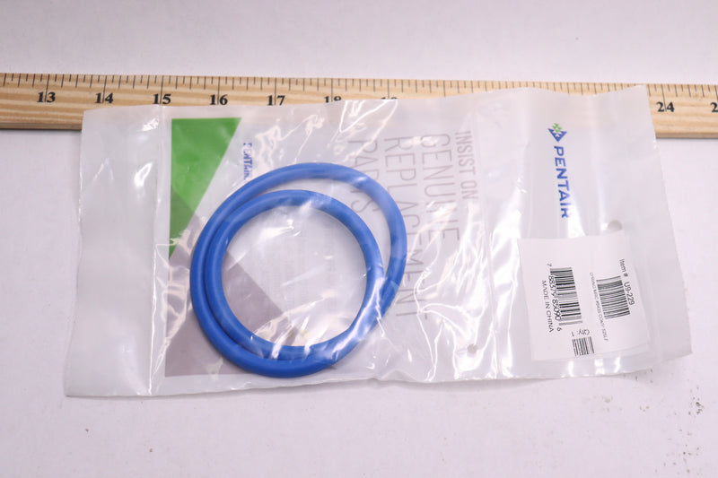 Pentair Trap Lid Gasket O-Ring U9-229 for 5" Plastic Suction Trap