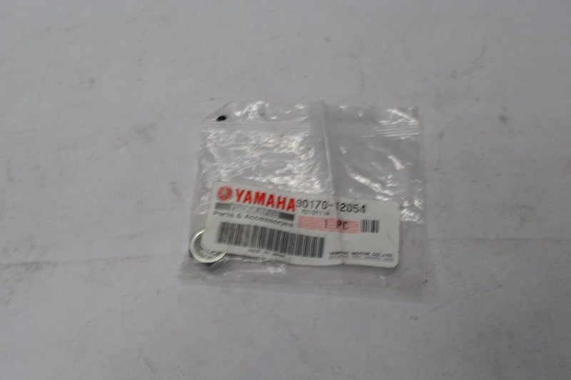 Yamaha Hex Nut 90170-12054