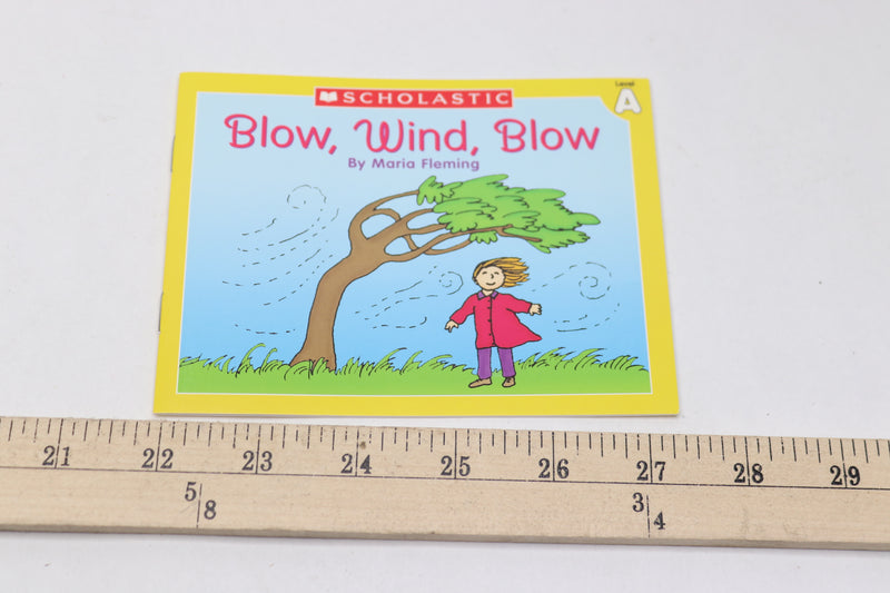 Level A Little Leveled Readers: Blow Wind Blow By Maria Fleming