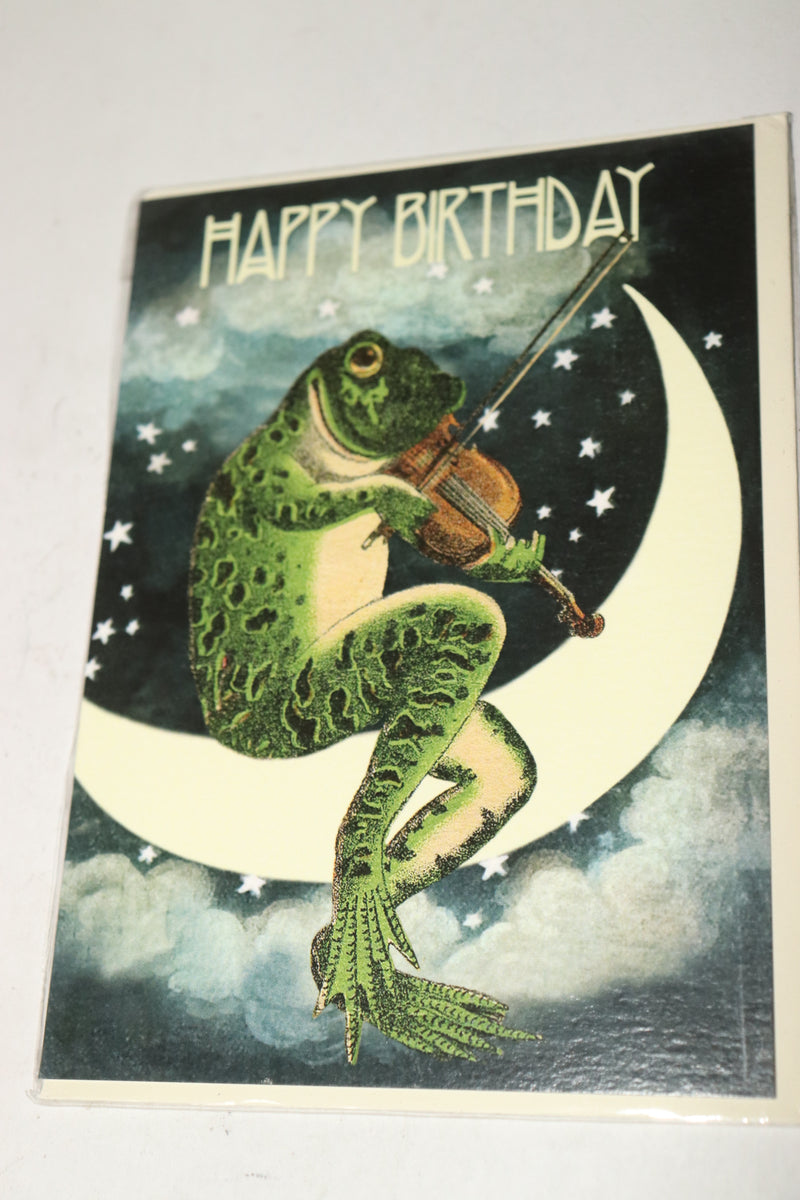 Madame Treacle Frog On The Moon Birthday Blank Card 125 MM x 175 MM HB165