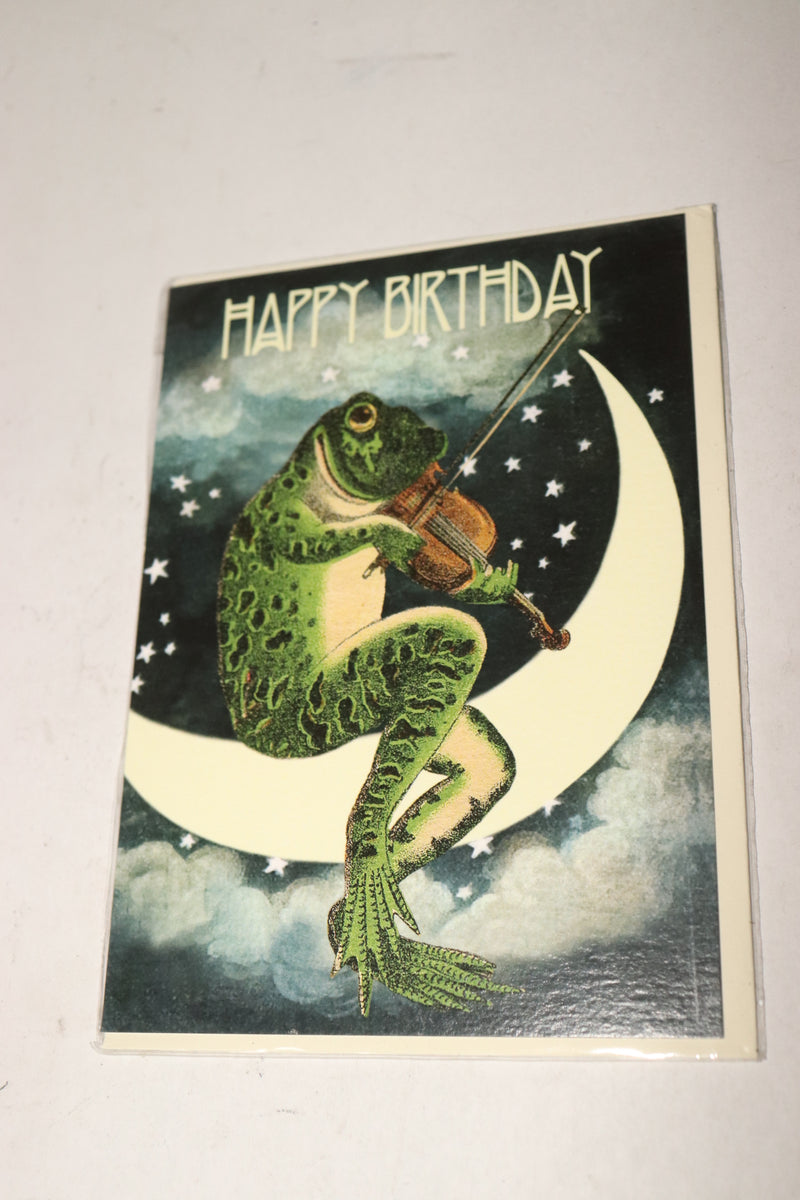 Madame Treacle Frog On The Moon Birthday Blank Card 125 MM x 175 MM HB165