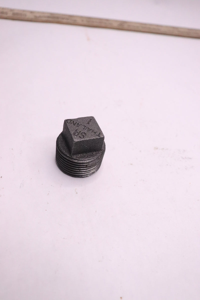 (20-Pk) Ferguson Threaded Cored Plug Malleable Iron Black