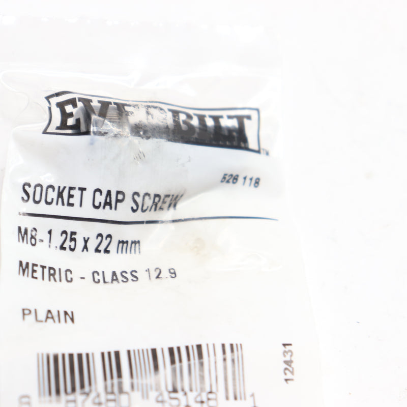 Everbilt Socket Cap Screw M8-1.25 X 22MM 528118