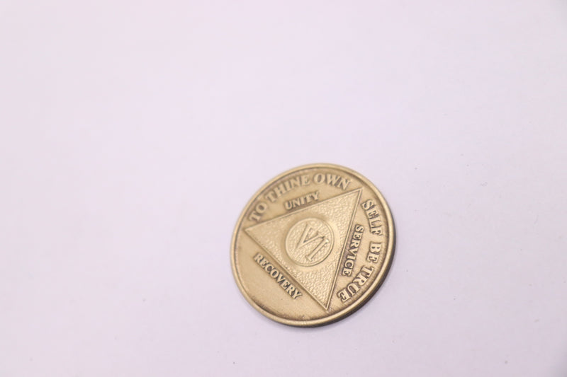 6 Year Alcoholics Anonymous Locket Coin Chip Bronze 0.02lb 3.5 L x 2 W x 0.1 H