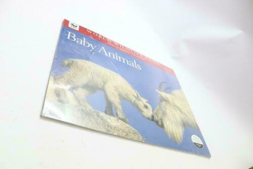 Calendar Ink Baby Animals Wall Calendar WWF 2020 9781620219843