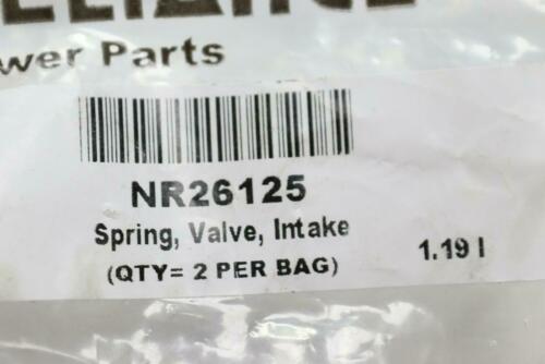 Reliance Power Parts Spring Valve Intake And Exhaust All 300 Series NR26125
