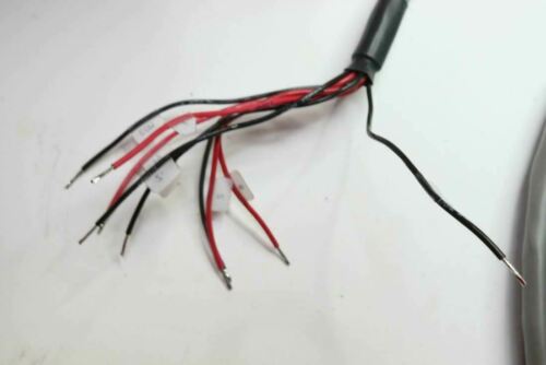 Belden Cable Assembly 300V 65-Ft E34972
