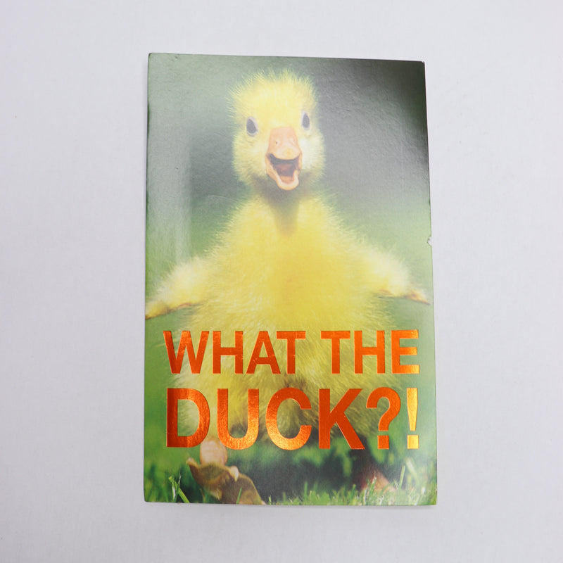 (4-Pk) American Greetings Birthday Cards With Ducks 6960955