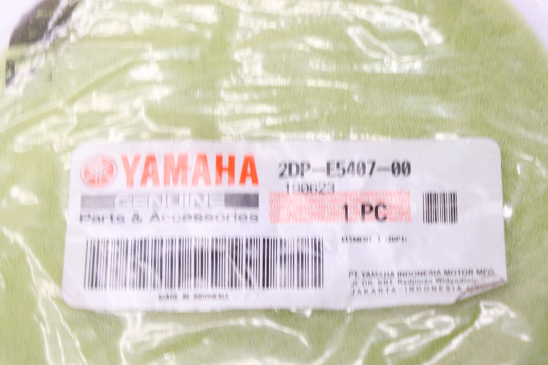 Yamaha Filter Element CVT 2DP-E5407-00